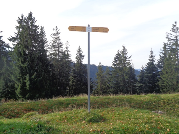 Gipfel Turner (1303m)