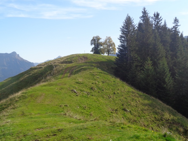 Blick zurück zum Turner (1303m)