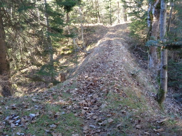 Beim ersten Damm geht's links hoch zur Ruine