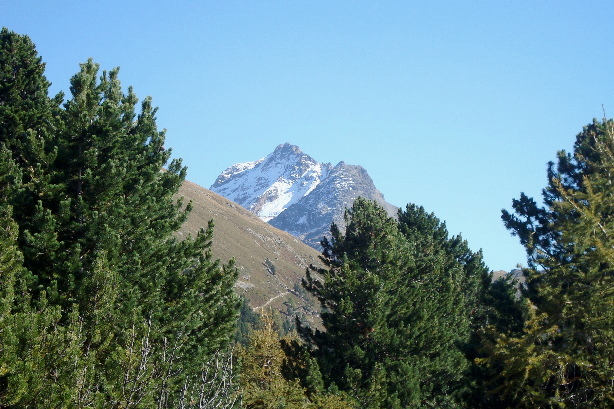 Piz Albris (3166m)