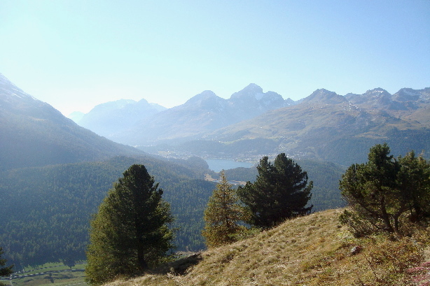 Piz Polaschin (3013m), Piz Albana (3082m), Piz Güglia (3380m), Piz Nair (3056m)