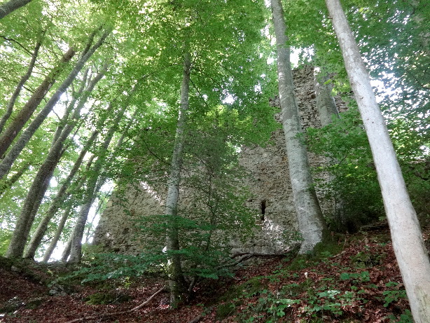 Ruine Jagdburg Höfen