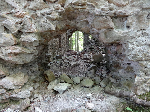Ruine Jagdburg Höfen