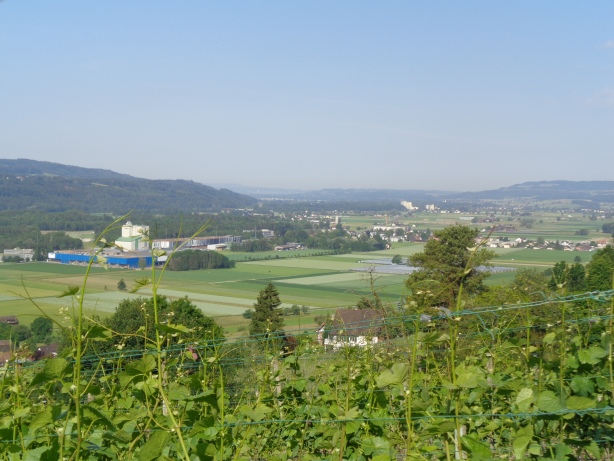 Blick Richtung Frauenfeld