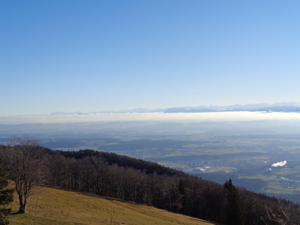 Nebelmeer und Alpen vom Weissenstein