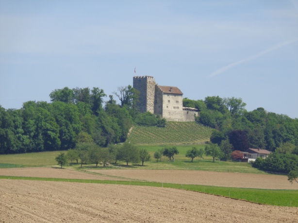 Schloss Habsburg