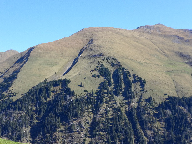 Hohniesen / Bündihore (2454m)