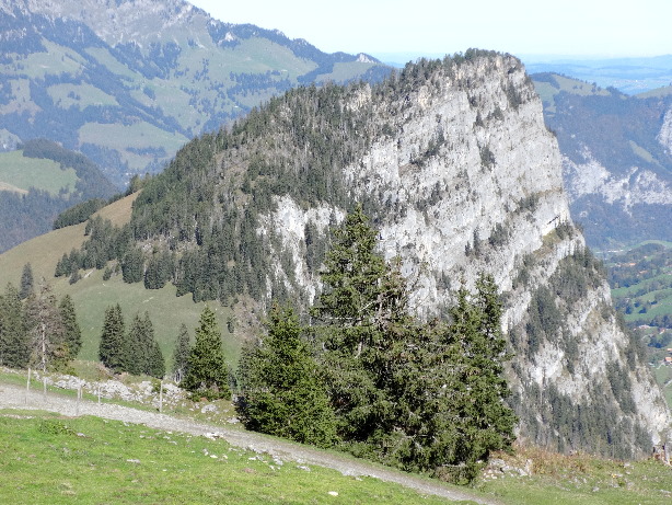 Schwarzenberg (1710m)