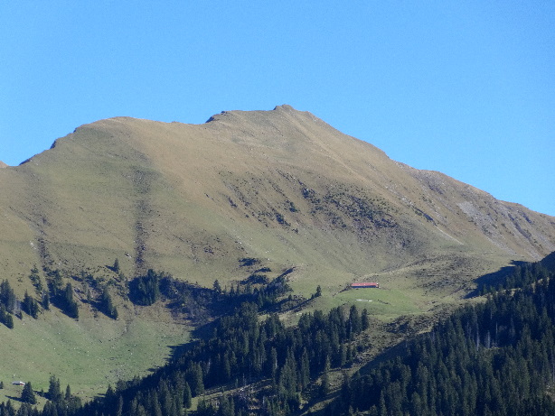 Schmelihore (2312m)