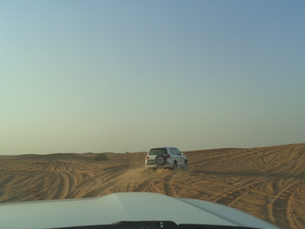 Wüstensafari